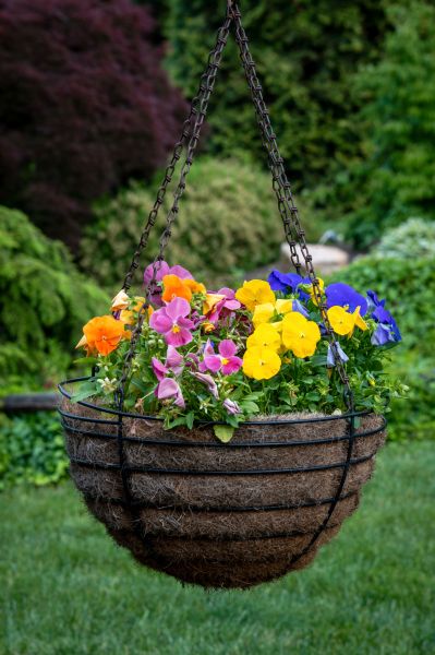 Hanging Basket Installation Service